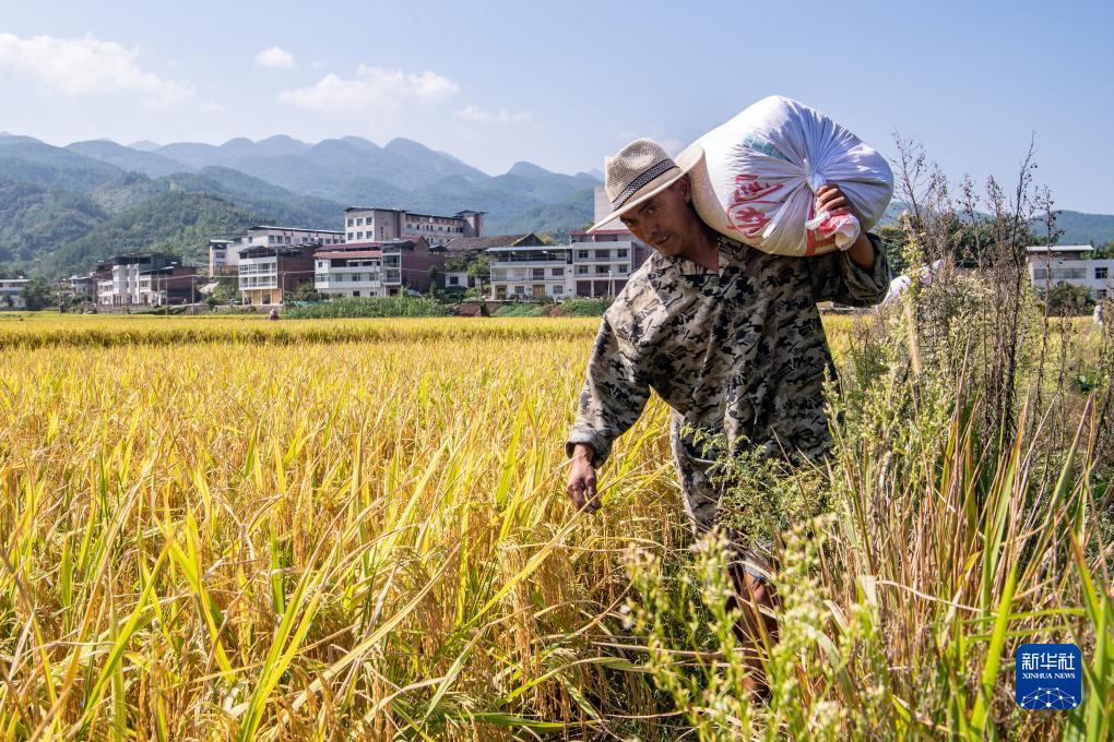 公赌船网址